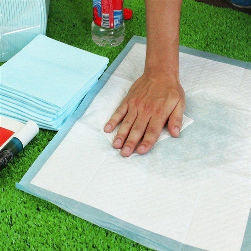 Miếng lót vệ sinh cho thú cưng bộ 10 miếng