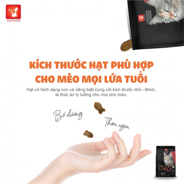Thức ăn hạt cho mèo | Cat