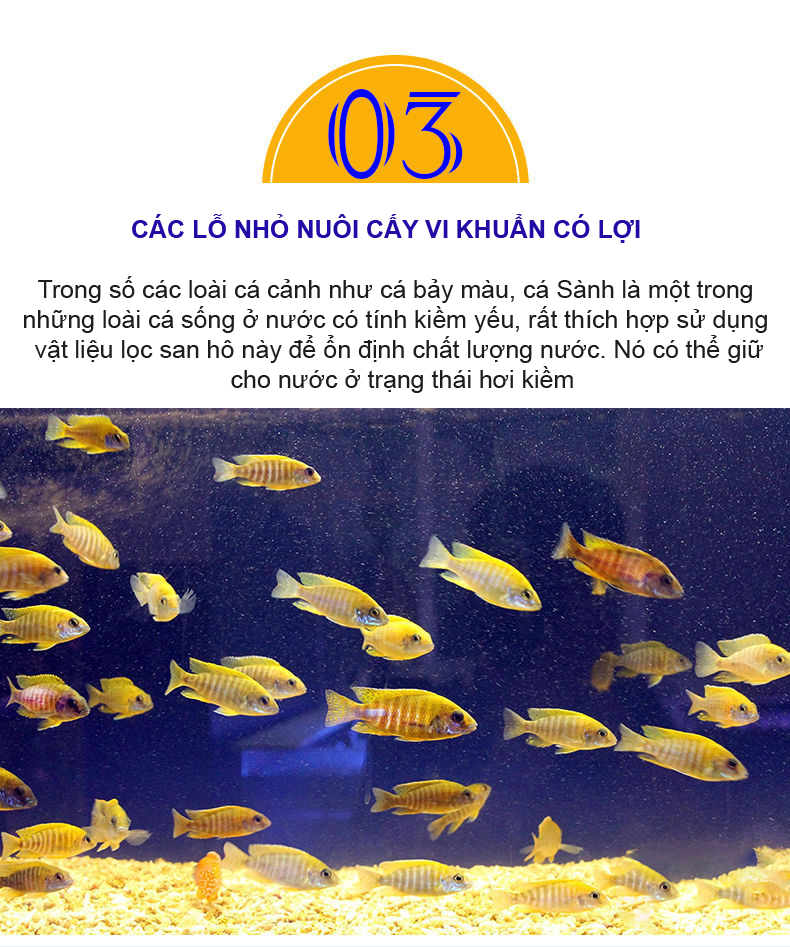 Bông Lọc + San Hô Vụn 1KG vật liệu lọc hồ cá, trang trí bể cá, hồ thủy sinh