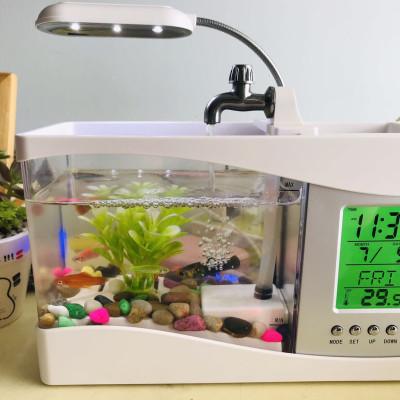 Bể Cá Mini Để Bàn Làm Việc 3 in 1 Kiêm Đồng Hồ  Siêu Dễ Thương Hàng Loại 1 - Chính Hãng MINIIN + Tặng sỏi trang trí bể cá,sỏi biển đủ kích thước - Màu Ngẫu Nhiên