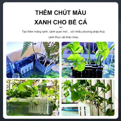 Giỏ nhựa trồng cây thủy canh móc thành hồ trang trí bể cá tép thủy sinh bán cạn
