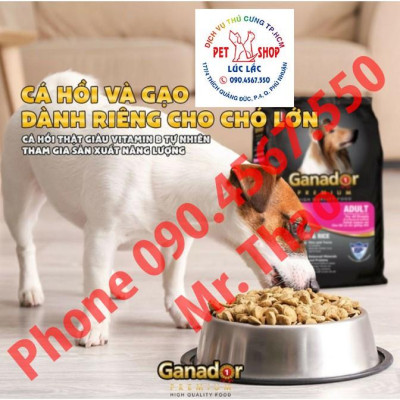 20KG Đủ Loại Thức ăn cho chó Ganador - FIB