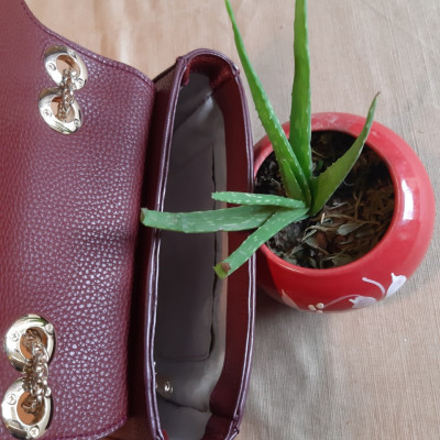 Túi đeo chéo sang trọng thời trang