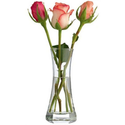 Bình Hoa Thủy Tinh Capitol Bormioli Rocco