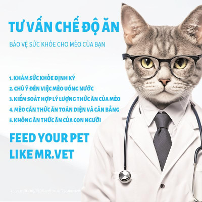 Tặng gói dùng thử - Hạt cho mèo Mr.Vet - Petour Singapore - Hạt full topping hơn 30% đạm - Túi seal 1 kg