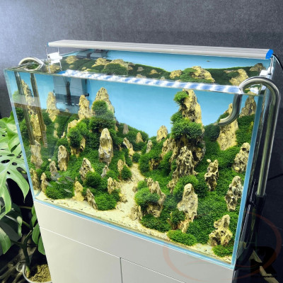 Đèn led KaoKui Aquarium Light KK series trắng quang phổ bể thủy sinh cá tép cảnh