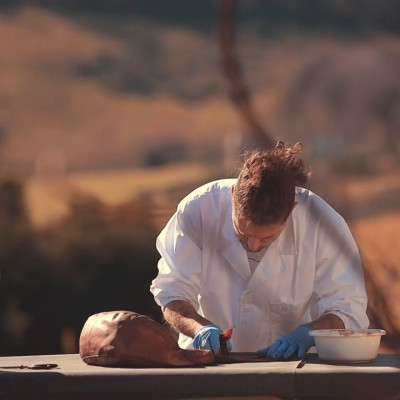 Ví nữ đựng card da bò cao cấp Gianni Conti VP0154GIA