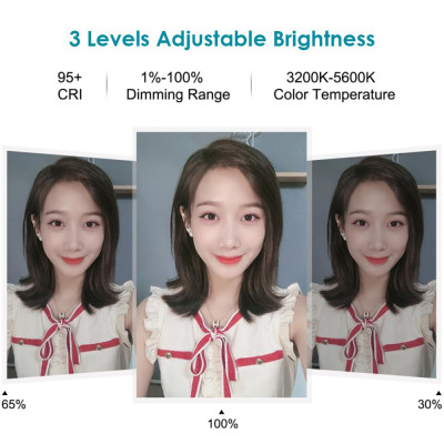 Đèn livestream hình tròn Puluz 10,2 inch 80 bóng ánh sáng với sạc USB thay đổi 3 màu