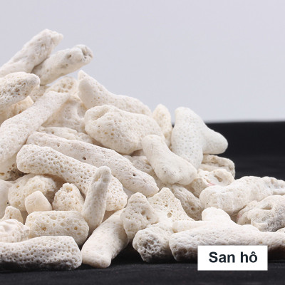 San Hô Vụn túi 1KG  + 1 túi lưới đựng vật liệu lọc cho bể cá