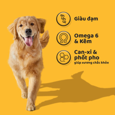 [Bộ 2] Thức Ăn Hạt Cho Chó Trưởng Thành Pedigree Adult 1+ Years Vị Gà, Rau Củ + Bỏ, Rau Củ 1.5kg/Túi
