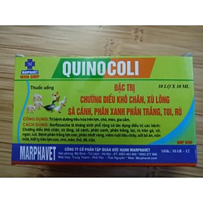 1 lọ quinocoli 10ml trị xù lông, sã cánh, phân xanh, trắng cho chim, vẹt, gà, vịt, thú cưng nhỏ