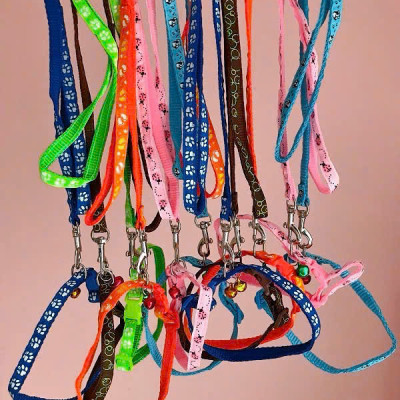 DÂY DẮT KÈM VÒNG CỔ VÀ CHUÔNG DÀNH CHO CHÓ MÈO ZICHEN (ĐỘ DÀI DÂY KHOẢNG 1M2)