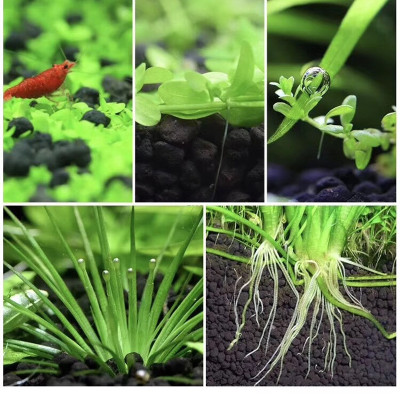 San Hô Vụn túi 1KG + Phân nền thủy sinh SMEKONG II 2KG giàu dinh dưỡng, trang trí bể cá, hồ cá