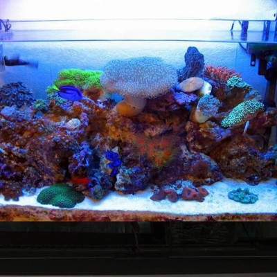 Cát Thạch Anh 2KG + Than Hoạt Tính 1KG vật liệu lọc nước, trang trí bể cá, hồ thủy sinh