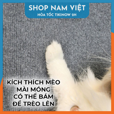 Tấm Mèo Cào Dán Bảo Vệ Nội Thất, Tấm Cào Móng Dán Tường