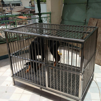 Chuồng chó Inox Juno Sofa KT(60 x 1m x 70cm) có mái che 