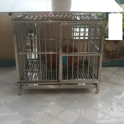 Chuồng chó Inox Juno Sofa KT (60 x 80 x 70cm) có mái che 