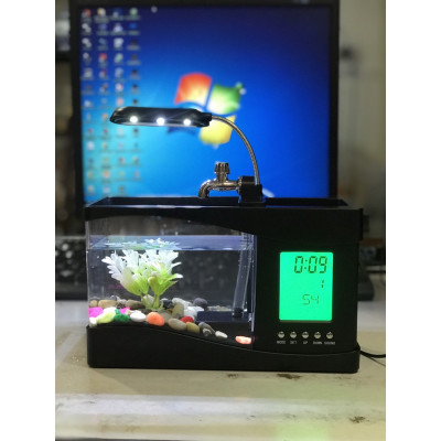 Bể Cá Mini Để Bàn Làm Việc 3 in 1 Kiêm Đồng Hồ  Siêu Dễ Thương Hàng Loại 1 - Chính Hãng MINIIN + Tặng sỏi trang trí bể cá,sỏi biển đủ kích thước - Màu Ngẫu Nhiên
