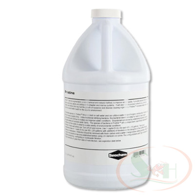 Vi sinh nước Seachem Pristine 100ml 250ml, 500ml, 1L, 2L phân hủy xử lý chất thải hữu cơ phân cá tép