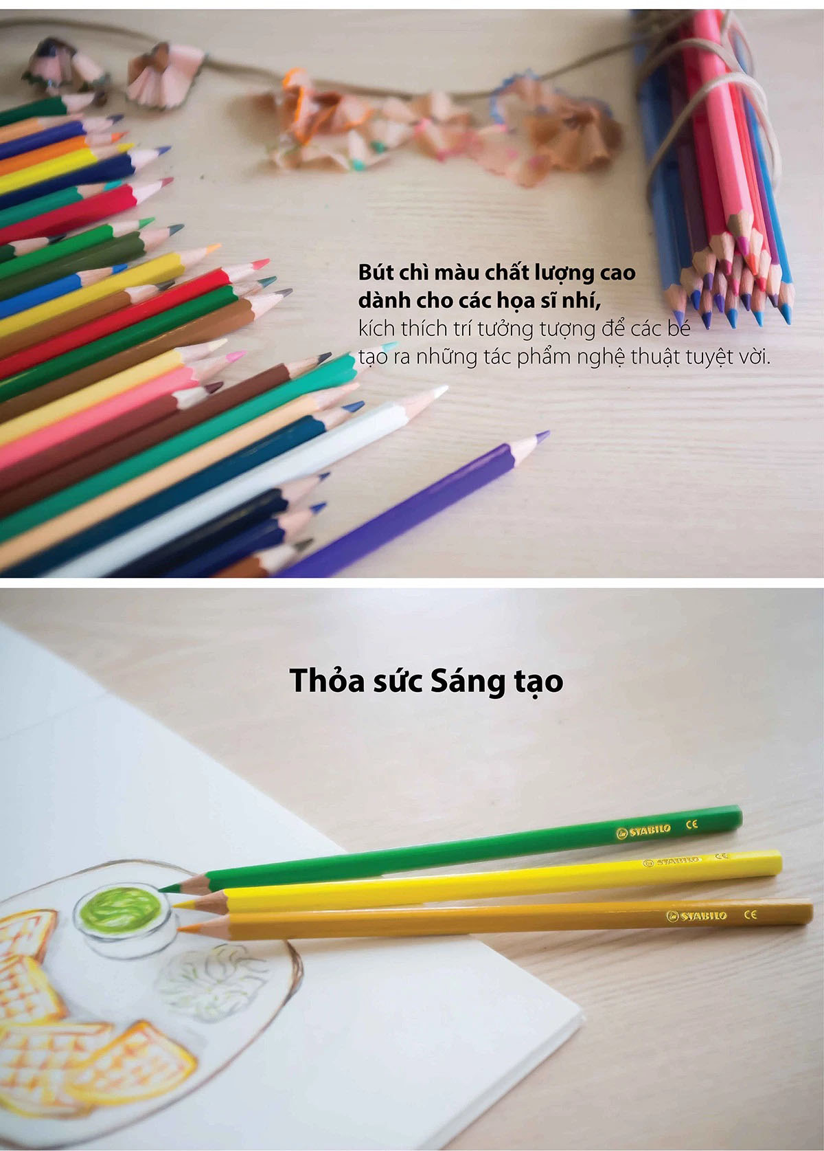 Combo bút chì màu Swans 24 màu - Hộp 24 màu + Quyển tô màu SACB (CLS1879-24G+)