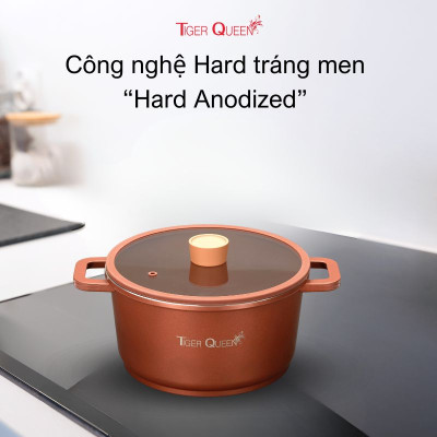 Nồi hầm Ceramic từ tính Tiger Queen CWCB-24CH - Màu nâu chocolate [24cm - 5.18L] - Chính hãng
