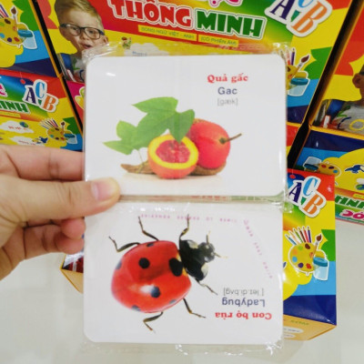 Bộ Thẻ Học Thông Minh 416 Thẻ 16 chủ đề (Song ngữ Việt Anh)