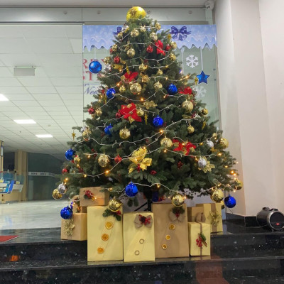 Cây thông Pe cao cấp 2m - Cây thông noel PE -  Cây tự động bung cành