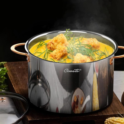 Nồi inox Ciwete Royal Knight Series 26cm vung kính Hàng chính hãng