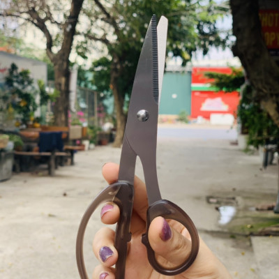 Kéo văn phòng không gỉ  Echo Metal - Made in Japan (Giao màu ngẫu nhiên)