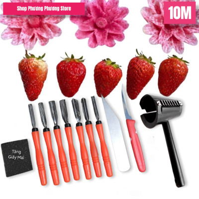  Combo 10 món dụng cụ - dao tỉa hoa quả nghệ thuật cao cấp