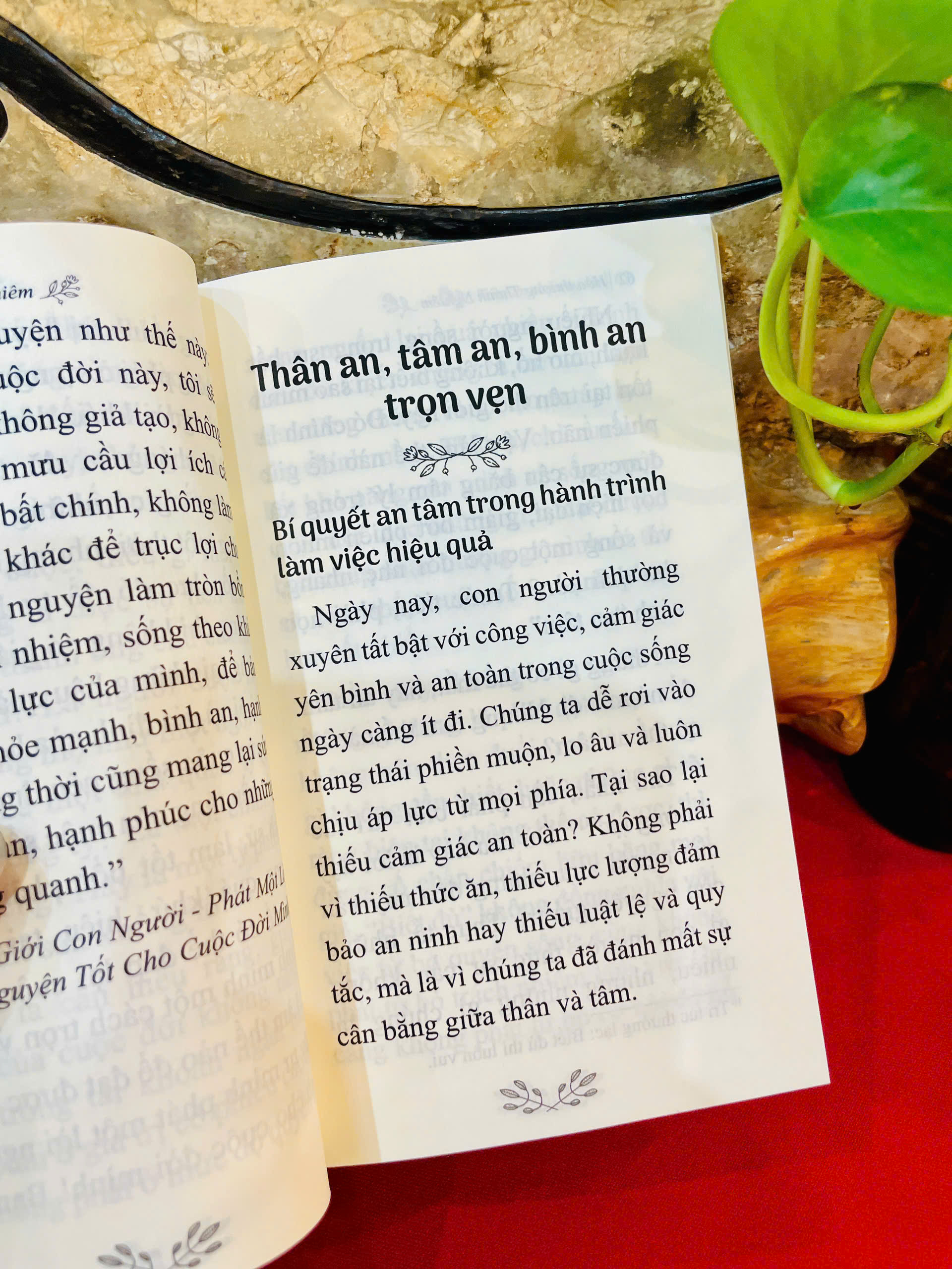 Sách - Tâm an thân tự tại - Hòa thượng Thánh Nghiêm - Vĩnh nghiêm Books