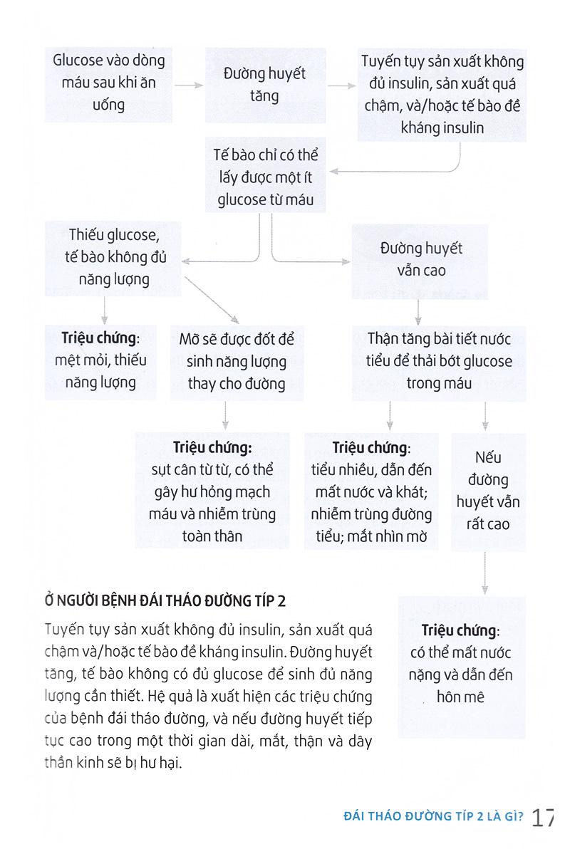 Hỏi Đáp Về Đái Tháo Đường Típ 2