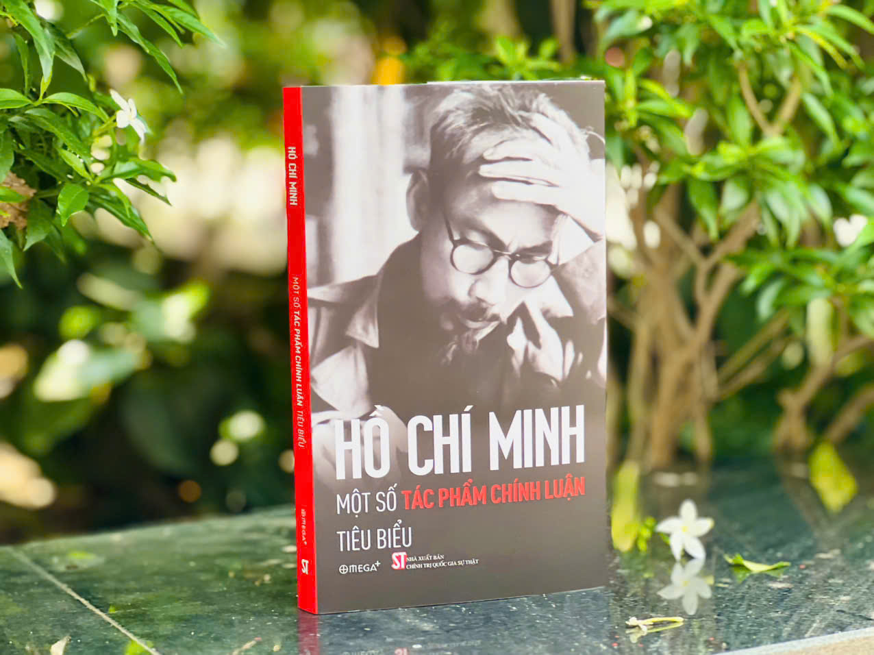 Combo Bông Sen Vàng - Thời Niên Thiếu Của Chủ Tịch Hồ Chí Minh Dưới Ngòi Bút Nhà Văn Sơn Tùng + Hồ Chí Minh - Những Tác Phẩm Chính Luận Tiêu Biểu