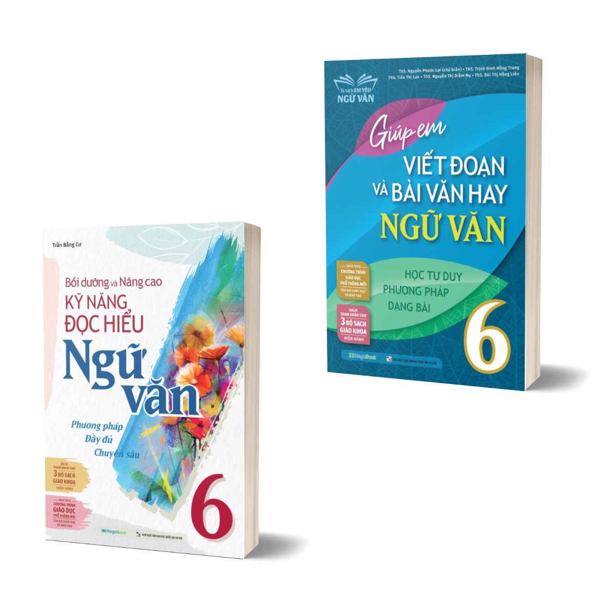 Combo Bồi Dưỡng Và Nâng Cao Kỹ Năng Đọc Hiểu + Giúp Em Viết Đoạn Và Bài Văn Hay Ngữ Văn 6 (Bộ 2 Quyển)