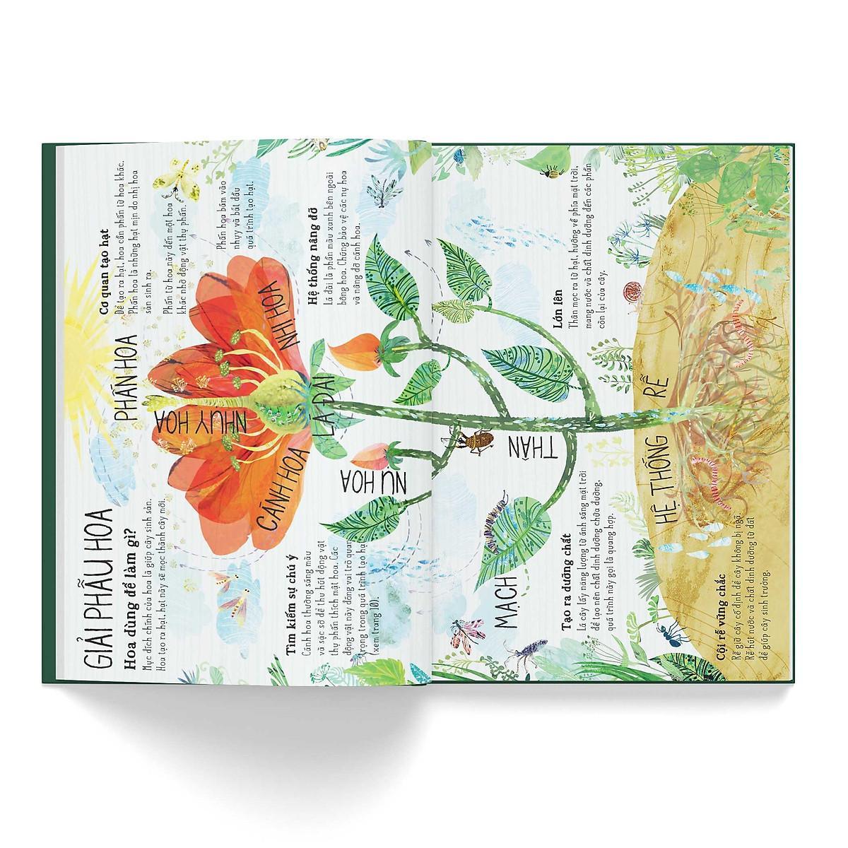 Sách - A Lê Hấp - Đông A Books