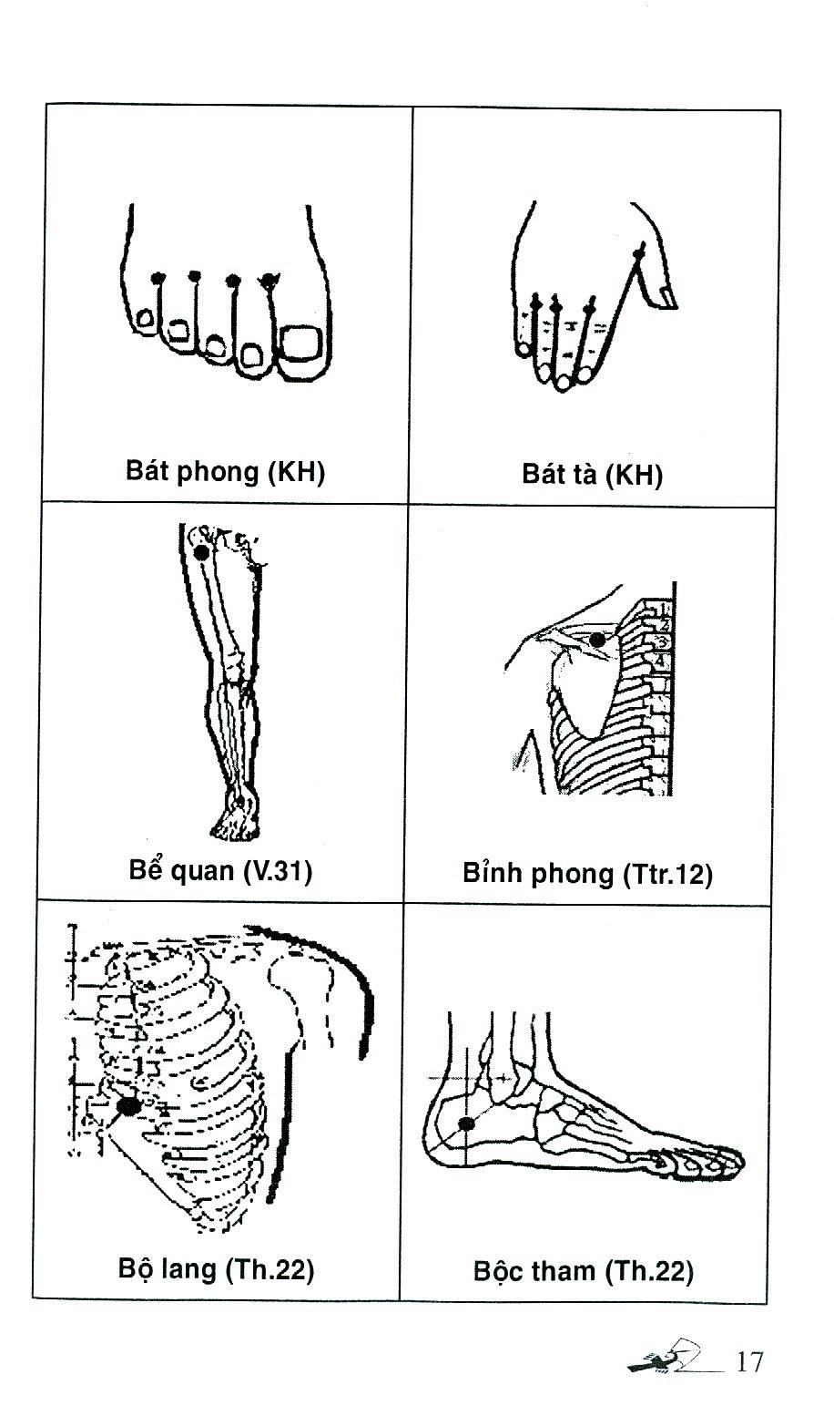 Sổ Tay Tìm Huyệt 2019