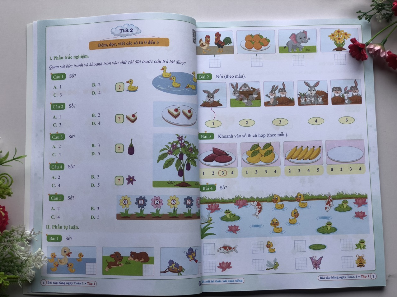 Sách - Combo Bài Tập Hằng Ngày - Toán và Tiếng Việt Lớp 1 - Kết Nối Tri Thức Với Cuộc Sống - Tập 1, 2 (2 cuốn) ,