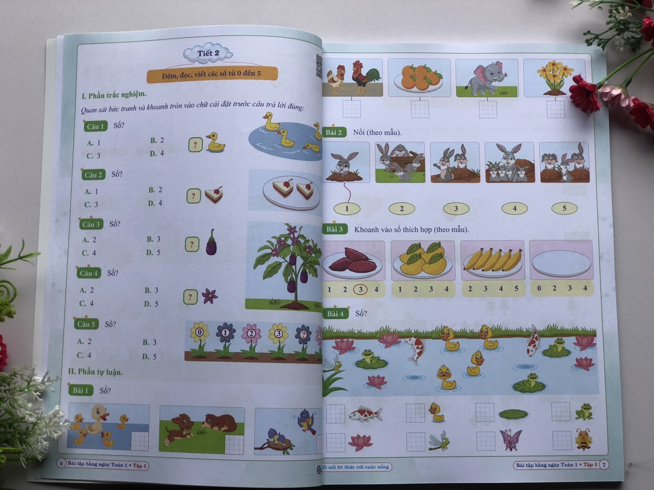 Sách - Combo Bài Tập Hằng Ngày - Toán và Tiếng Việt Lớp 1 - Kết Nối Tri Thức Với Cuộc Sống - Tập 1, 2 (2 cuốn) ,