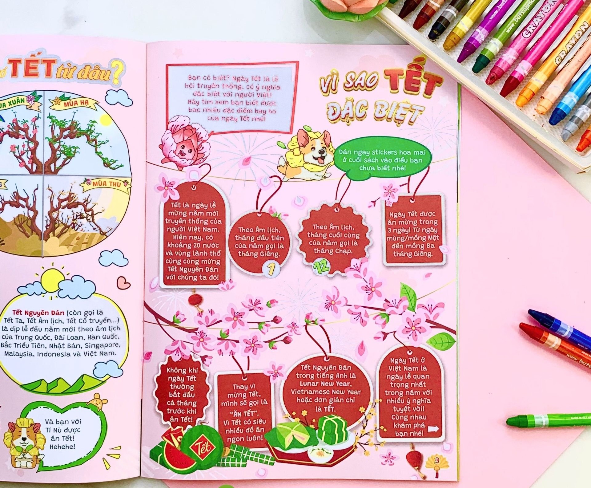 Vui Cùng Sen Sún: Tết Vui No Ấm