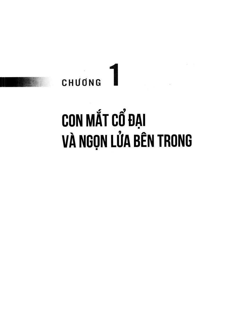 Khoa Học Và Khám Phá - Những Con Đường Của Ánh Sáng - Tập 1 (Tái Bản 2023)