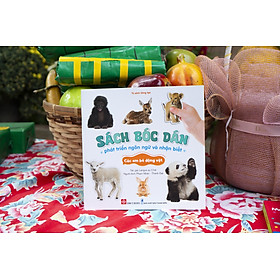 Sách - Sách bóc dán phát triển ngôn ngữ và nhận biết Đinh Tị Books