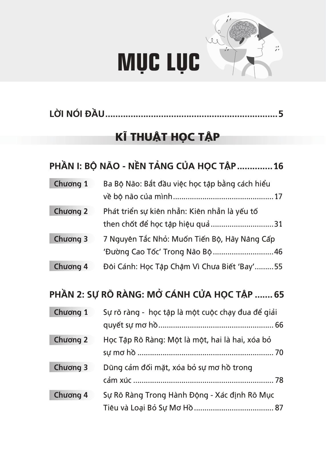 Đánh Thức Bản Năng Học Tập Phi Thường Trong Bạn - Phương Pháp Thao Túng Não Bộ Để Học Tập Nhàn Tênh Nhưng Vẫn Không Ngừng Tiến Bộ