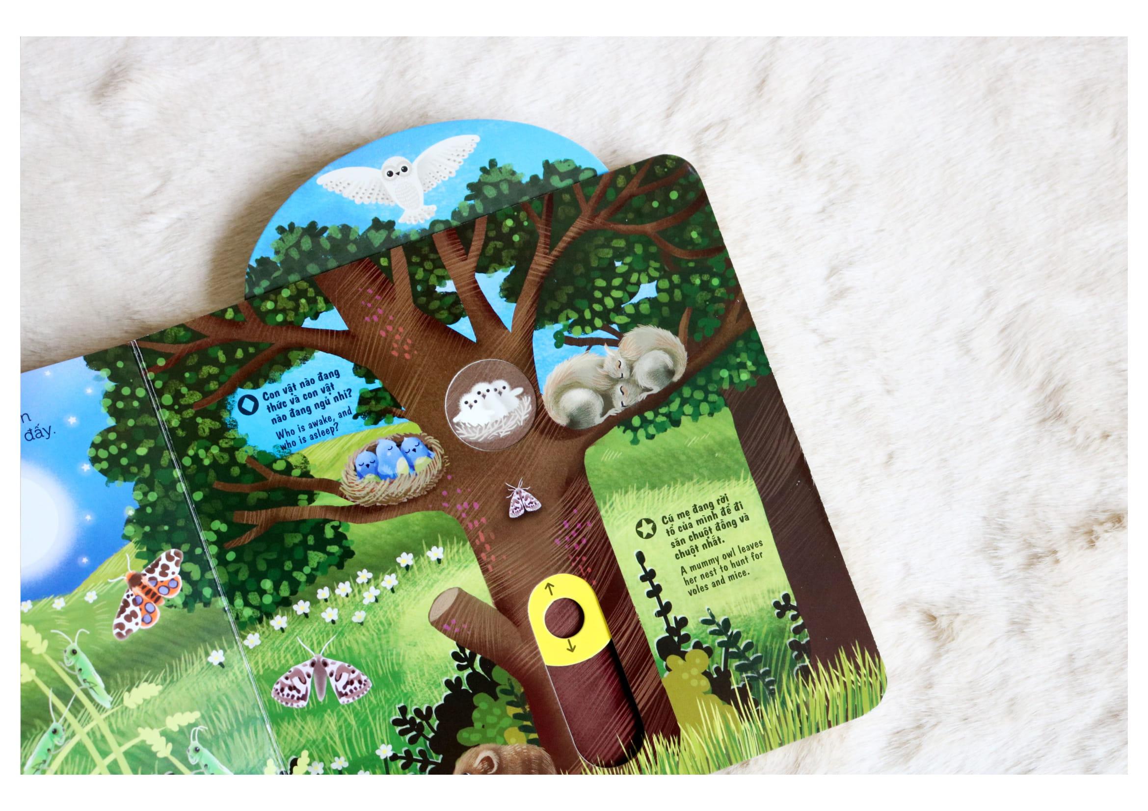 Sách Tương Tác - Sách Chuyển Động - First Explorers - Night Animals - Động Vật Ban Đêm