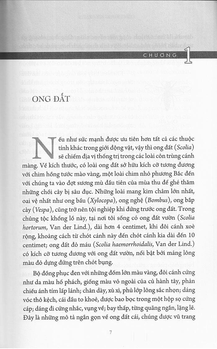 Côn Trùng Ký (Ấn Bản Đầy Đủ Nhất) -Tập 3