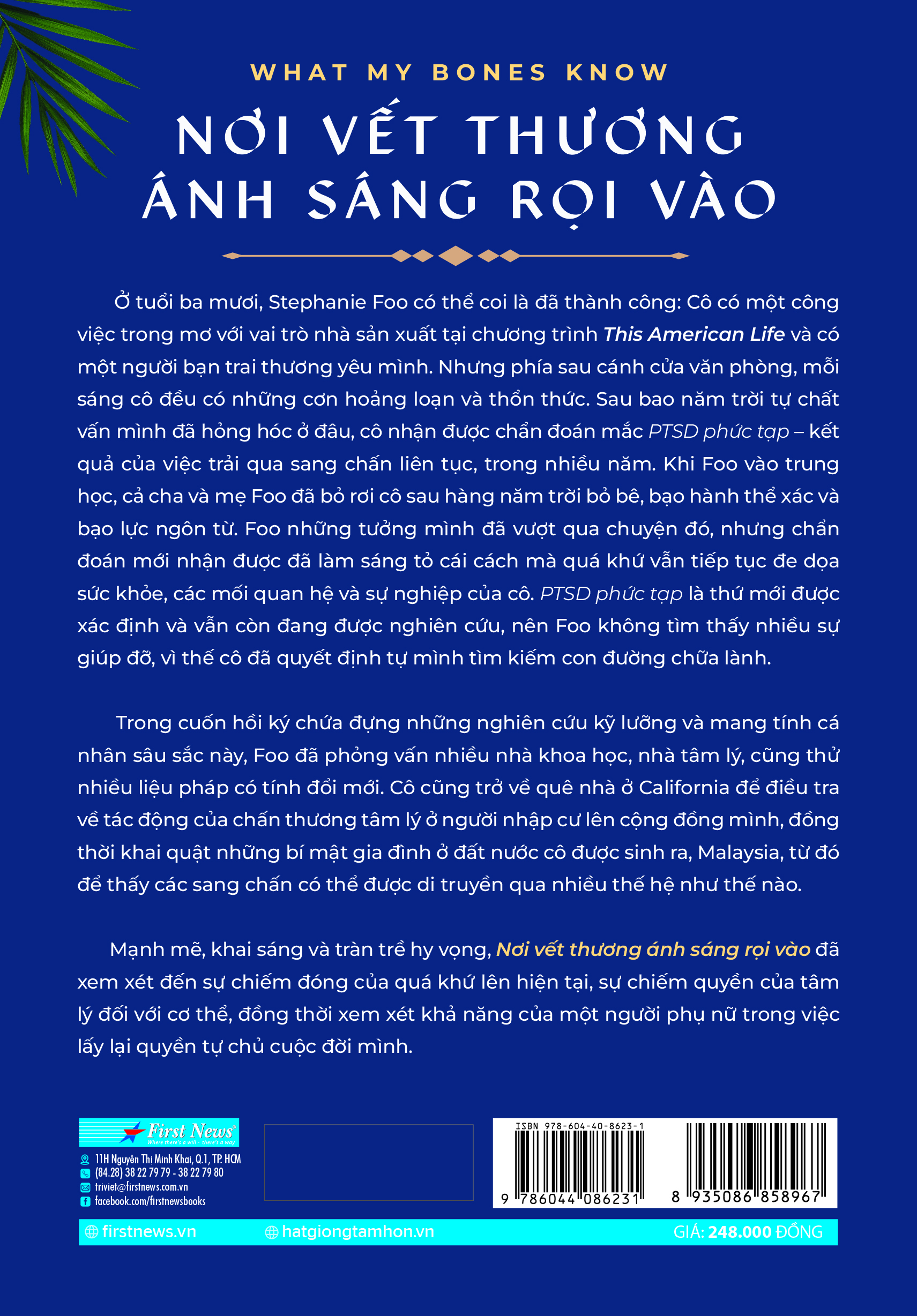 Sách Nơi Vết Thương Ánh Sáng Rọi Vào - First News