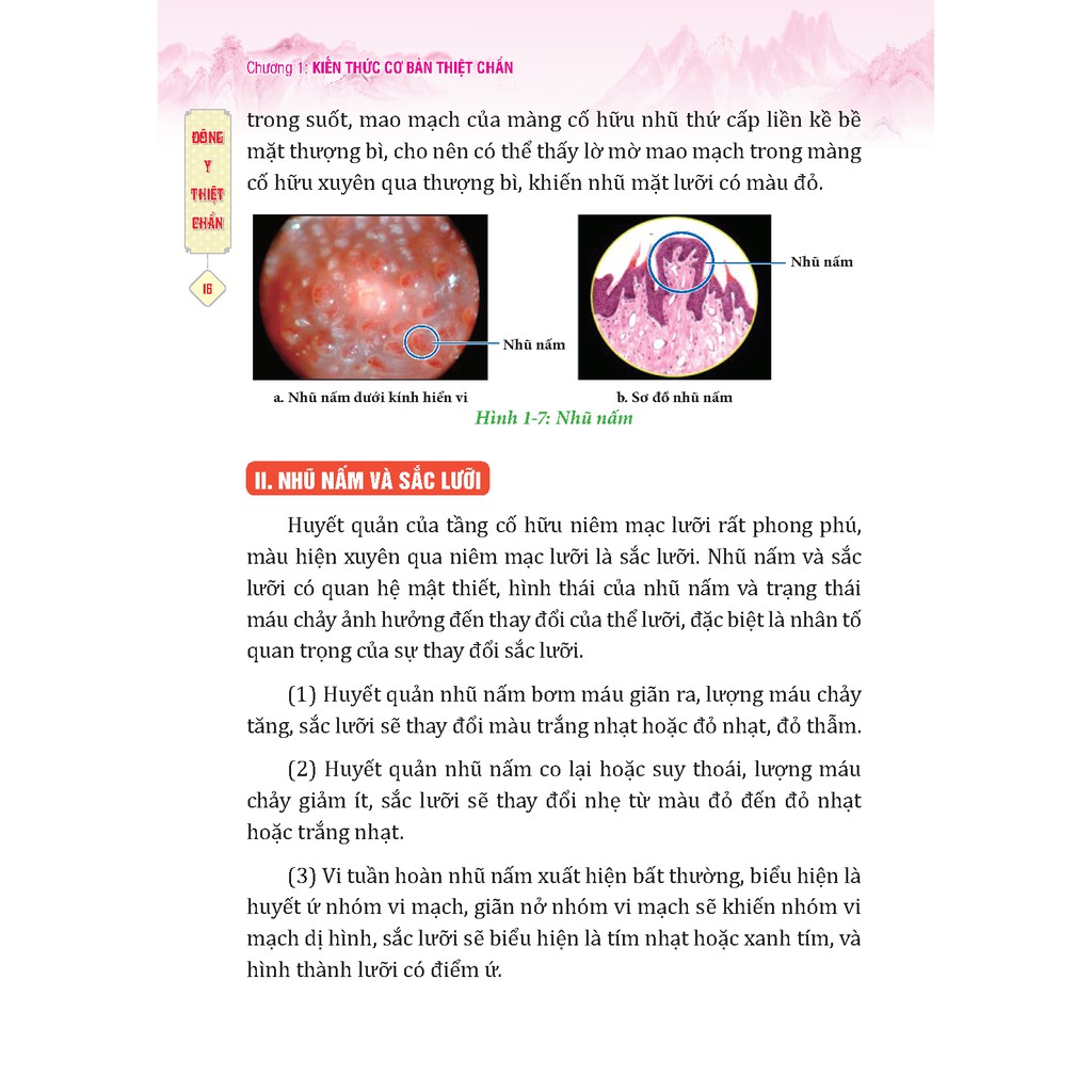 Sách - Đông y thiệt chẩn
