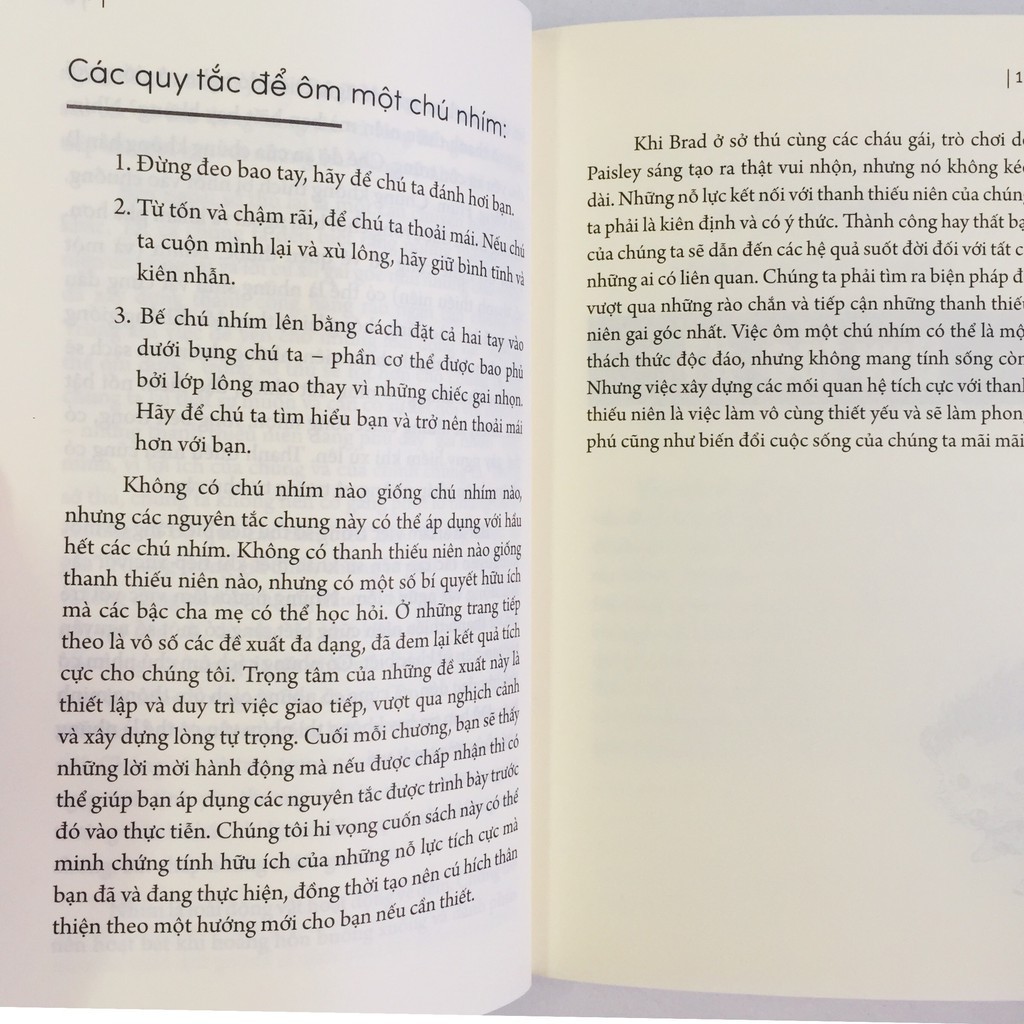 Sách- Làm Thế Nào Để Ôm Một Chú Nhím ? - Phương Pháp Kết Nối Với Trẻ Vị Thành Niên (ML)