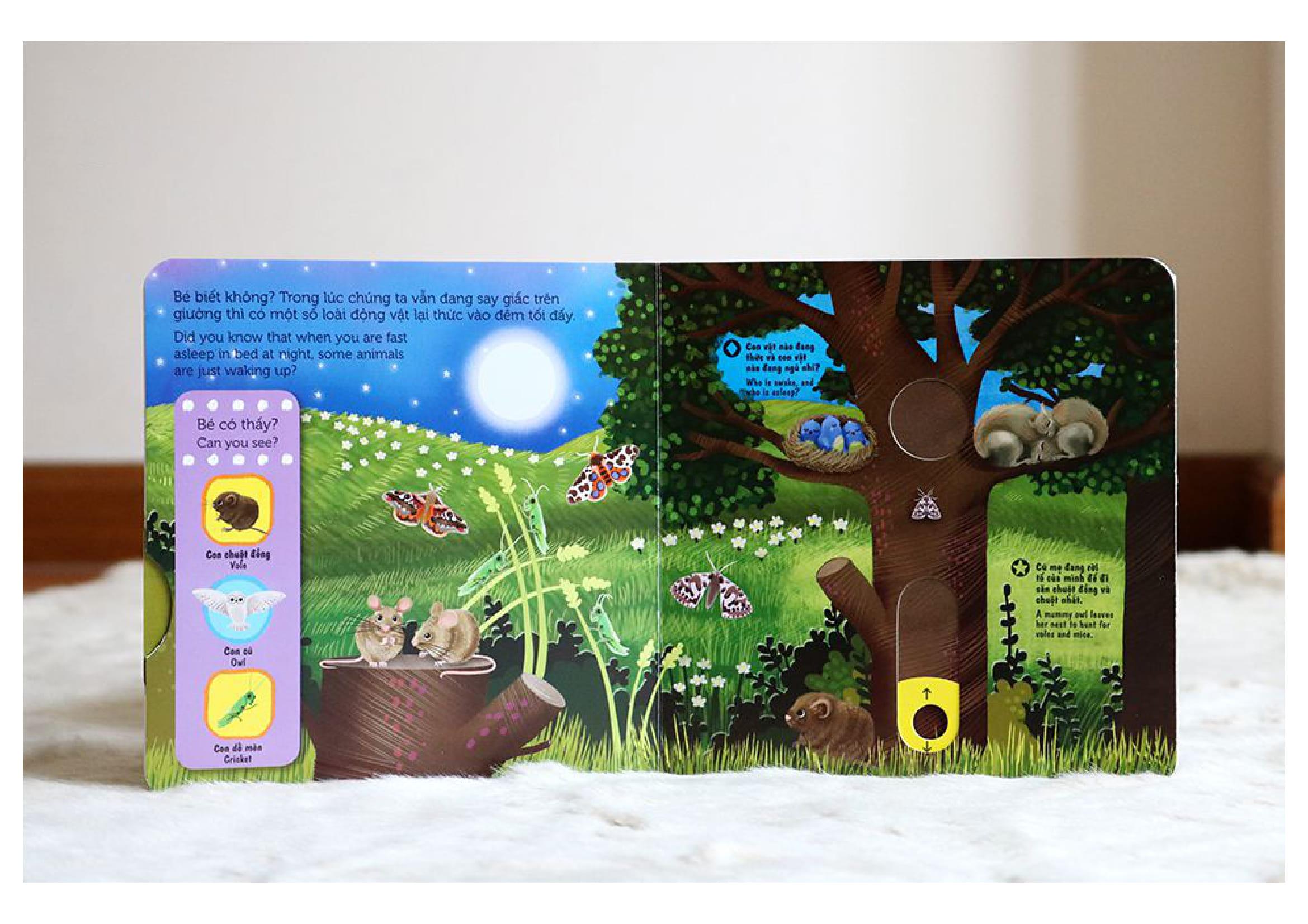 Sách Tương Tác - Sách Chuyển Động - First Explorers - Night Animals - Động Vật Ban Đêm