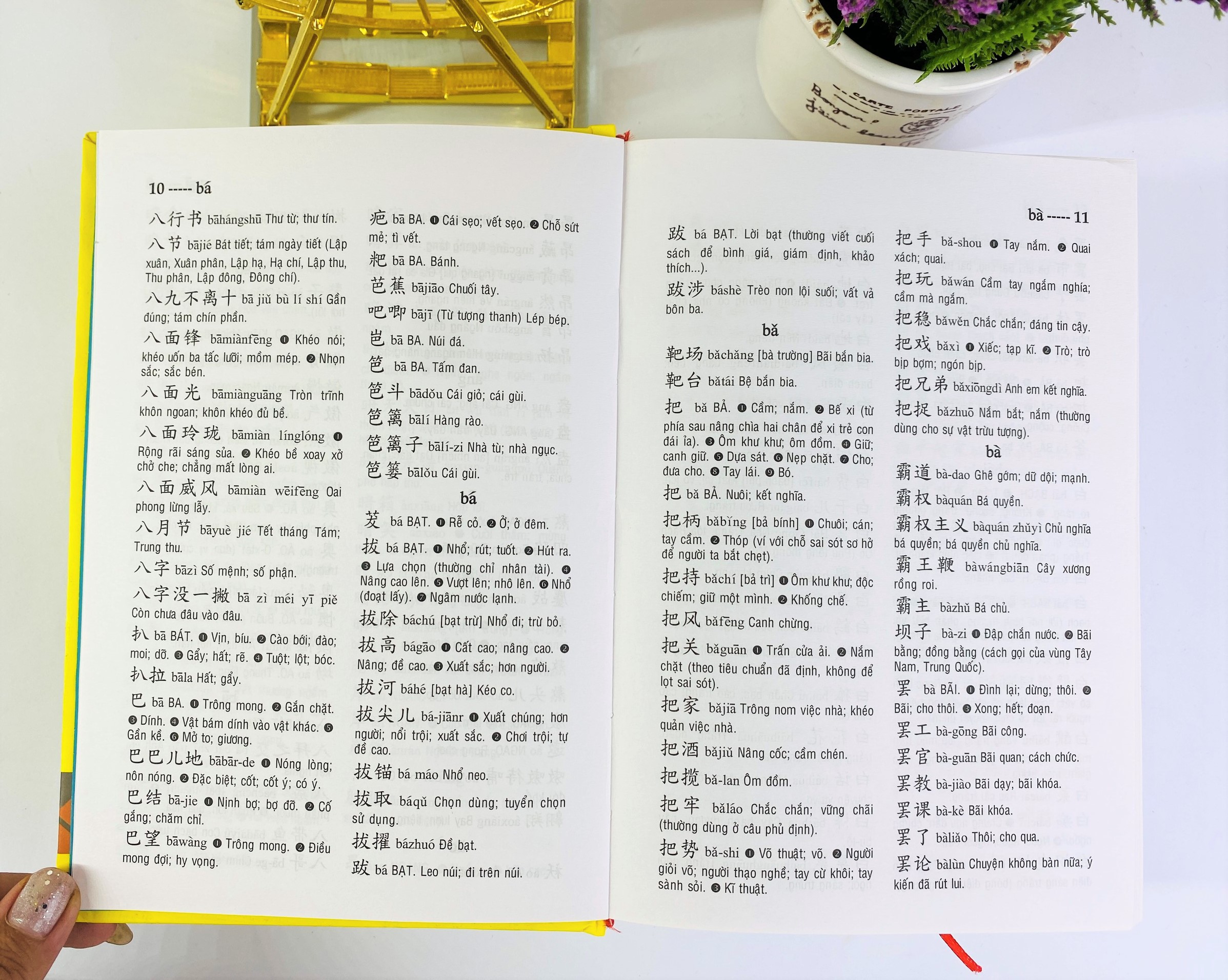 NDB - Từ điển Trung việt