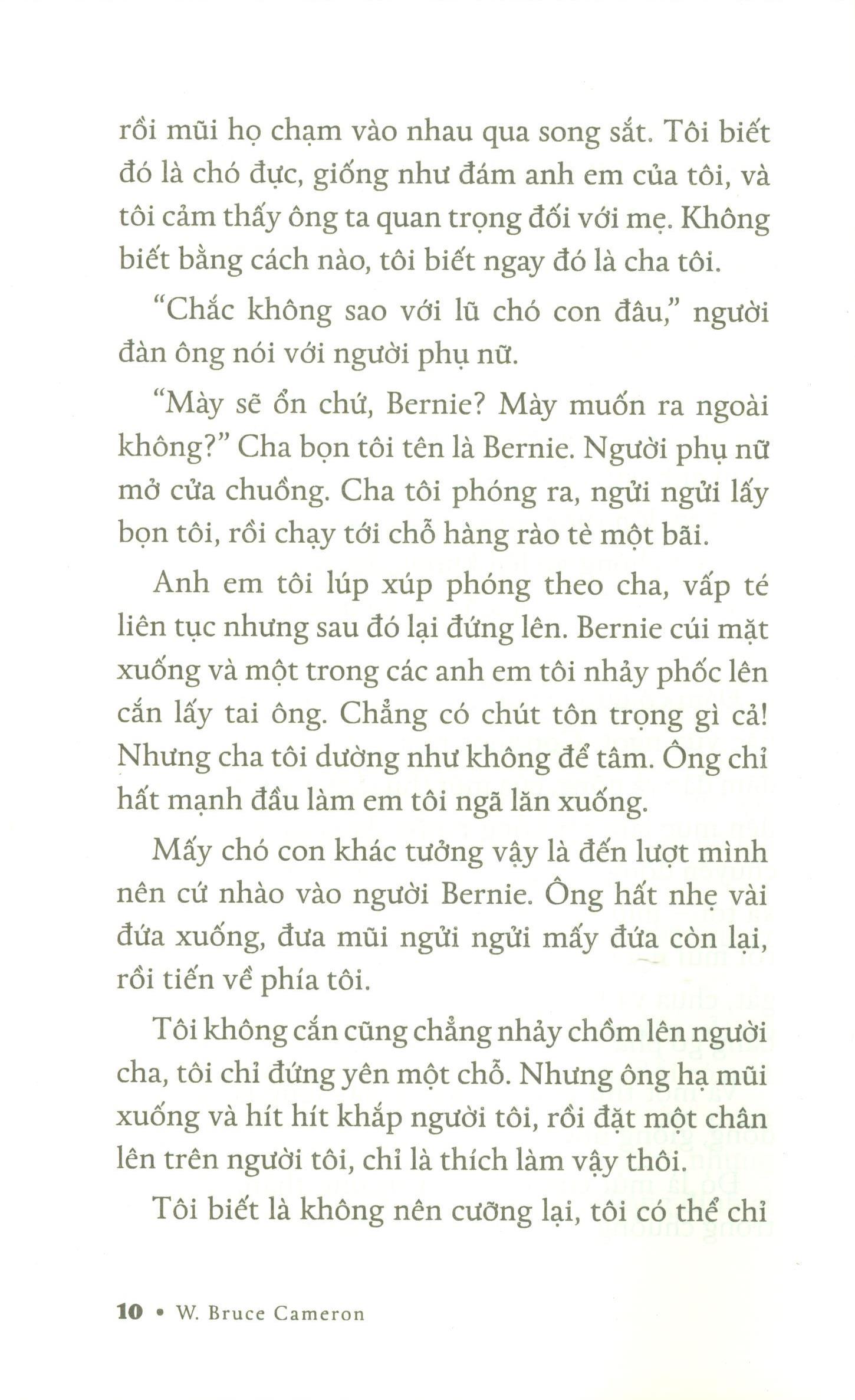 Chuyện Về Ellie - Chú Chó Trong Tiểu Thuyết Mục Đích Sống Của Một Chú Chó